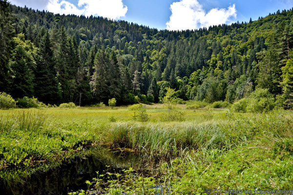 Lapoutroie  OT valle de Kaysersberg